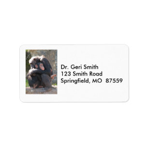 Sweet! Two Chimpanzees Share a Loving Hug Label