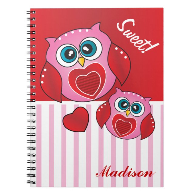 Sweet Valentine Owls Notebook (Front)