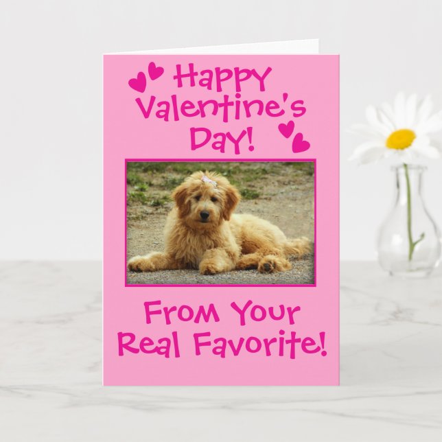 Sweet Valentine's Day From The Dog Photo Card (Small Plant)