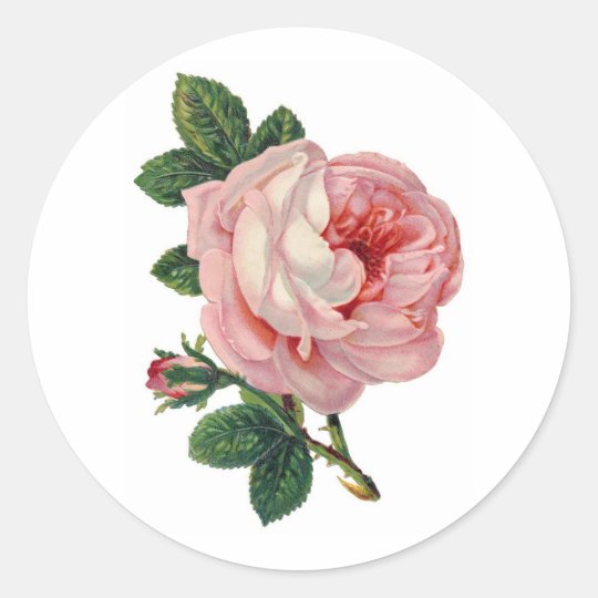Sweet Victorian Rose Sticker