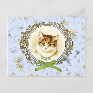 Sweet vintage cat portrait postcard
