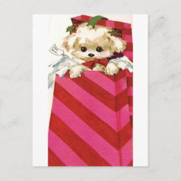Sweet Vintage Christmas Puppy Bichon Lhasa Maltese Holiday Postcard