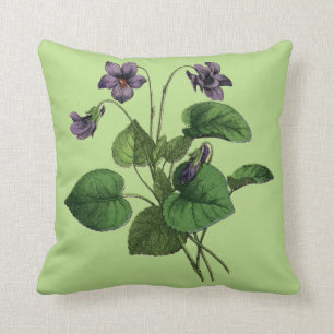 Sweet Violet Flowers on Green or White Cushion