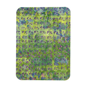 Sweet Violets 2012 Magnet
