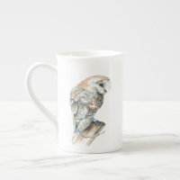 Sweet Watercolor Barn Owl Bird Nature Art
