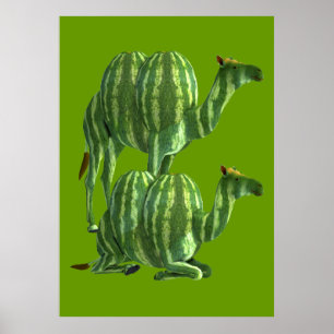 Sweet Watermelons Camels Poster