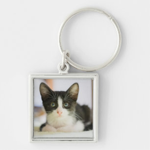 Sweet White And Black Kitten Key Ring