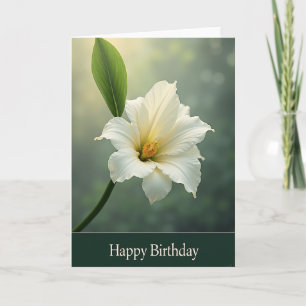 Sweet White Blossom Card
