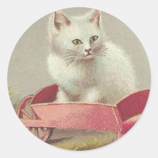 Sweet white kitten in pink cart Victorian Vintage  Classic Round Sticker