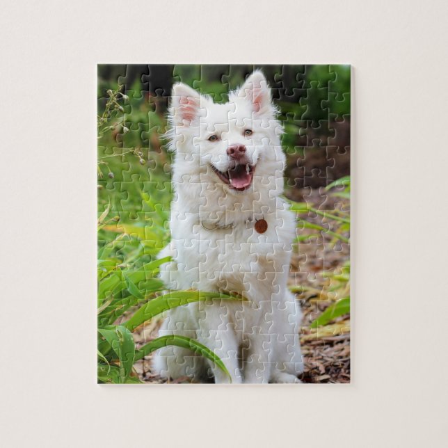 Sweet White Lapp Hund Dog Green Background Photo Jigsaw Puzzle (Vertical)