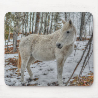 Sweet White Mare and Winter Forest Gift Mouse Mat