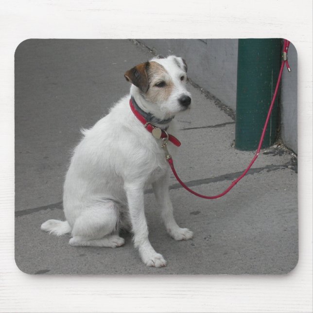 Sweet White Mongrel Mouse Mat (Front)