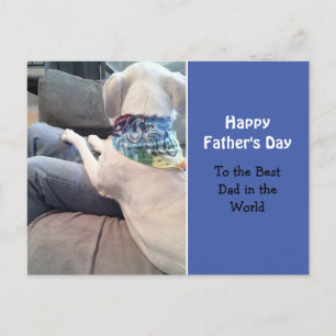 Sweet White Puppy Dog Wearing Colourful Scarf Blue Postcard