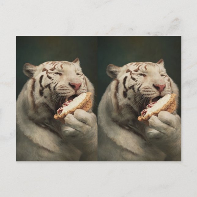 Sweet White Tiger Postcard – Whimsical Art (Front)