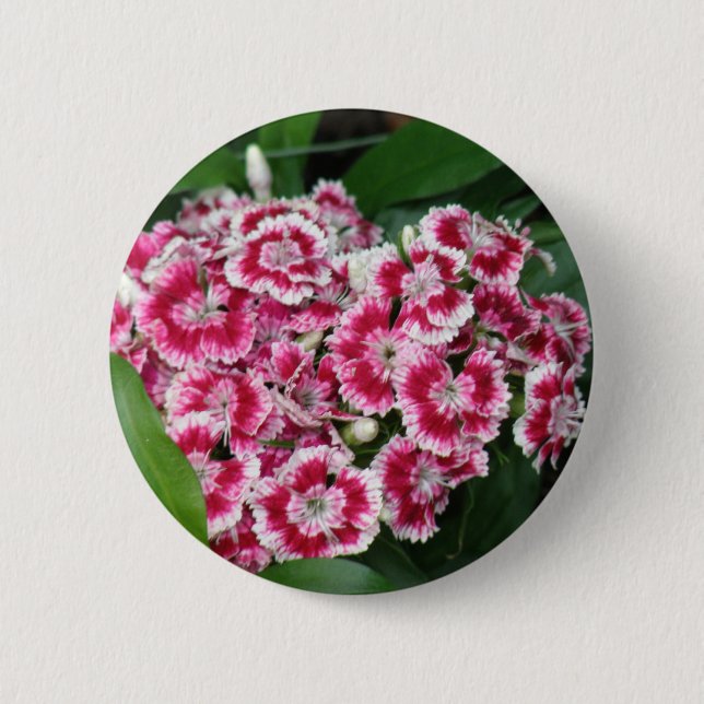 Sweet William Flowers Round Button (Front)