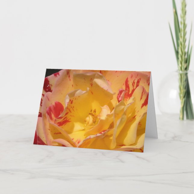 Sweet Yellow Rose Flower Greeting or Note Cards (Front)