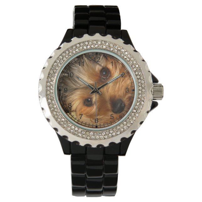 Sweet Yorkie Watch (Front)
