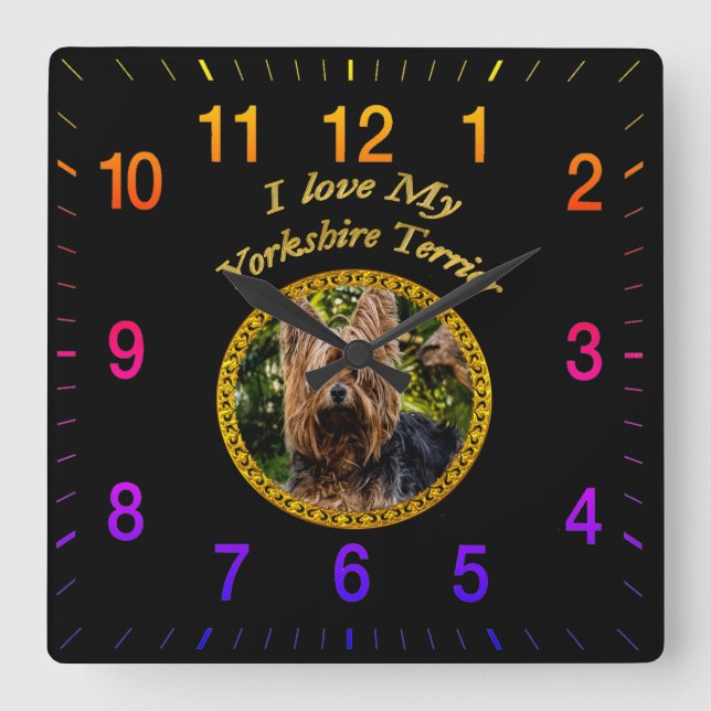 Sweet Yorkshire terrier small dog Square Wall Clock (Front)