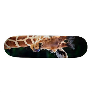 sweet young giraffe skateboard