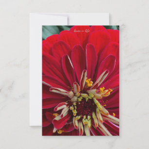 Sweet Zinnia Card