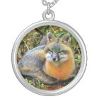 Sweetest Grey Fox Sleeping