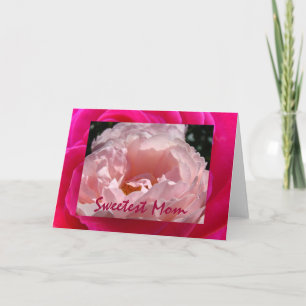 Sweetest Mum greeting gift cards Pink Rose Flower