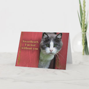 Sweetheart I'm Lost Without You, Cute Cat Card