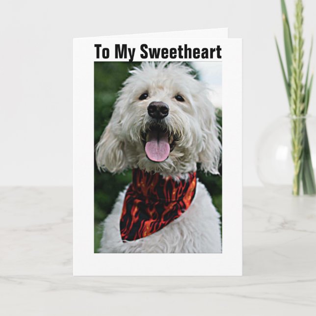 SWEETHEART/VALENTINE FROM DRESSED UP/HAPPY DOG HOLIDAY CARD (Front)