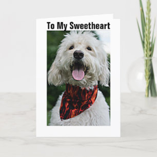 SWEETHEART/VALENTINE FROM DRESSED UP/HAPPY DOG HOLIDAY CARD