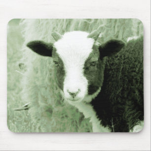 Sweetheart's Lamb in Greenish Tones Mouse Mat