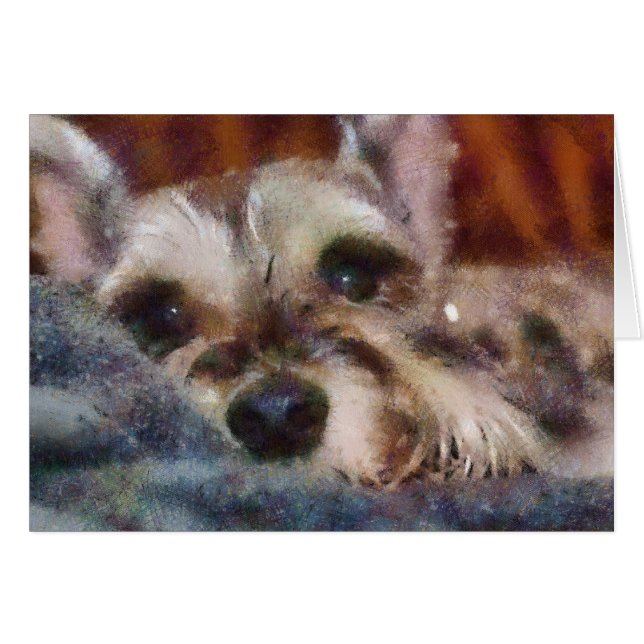 Sweetie (Front Horizontal)