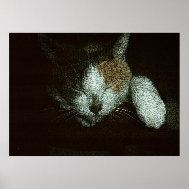 Sweetie Sleeping on a Cat Tree Poster (Front)