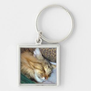 Sweetly dreaming key ring