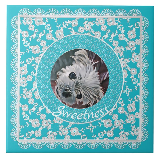 Sweetness-Aqua-Puppy-Square-CUSTOM-PHOTO-TEMPLATE- Tile (Front)