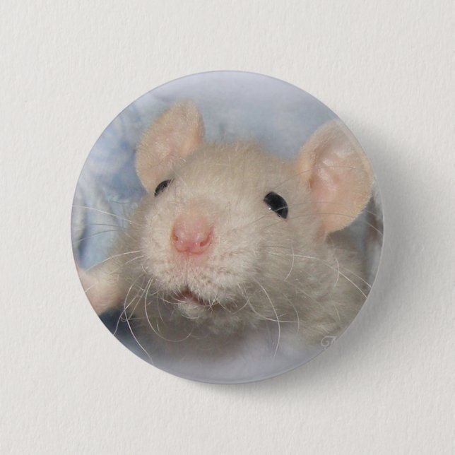 Sweetness Button (Front)