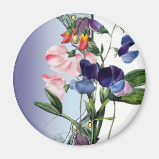 Sweetpea flowers magnet