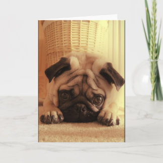 SweetPea Pugs Greeting Card