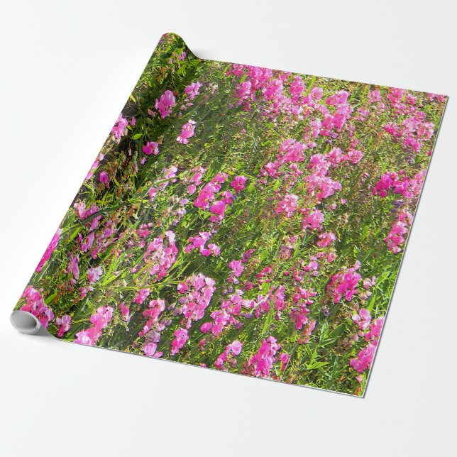 Sweetpeas on the hill.... wrapping paper (Unrolled)