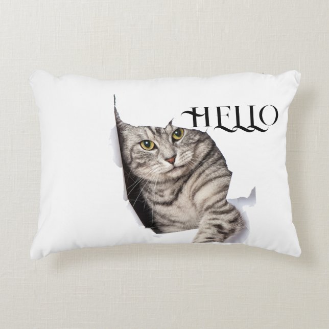 Sweety cat Pillow (Front)