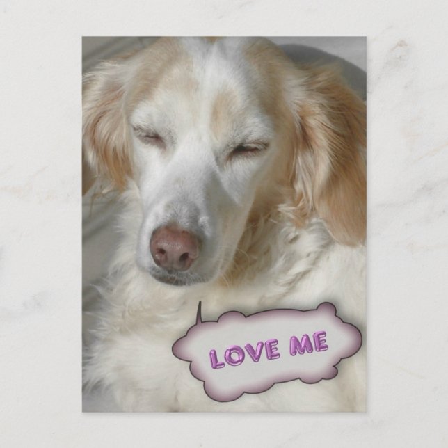 Sweety Postcard (Front)