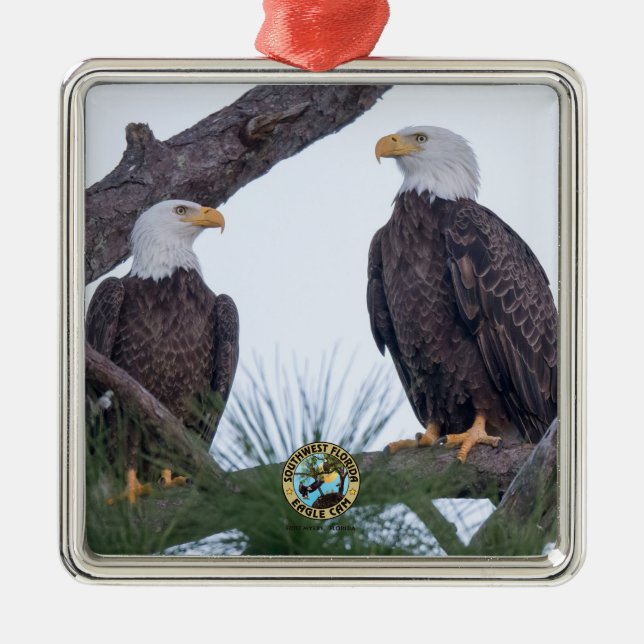SWFL Eagle Cam Couple Goals Ornament (Front)