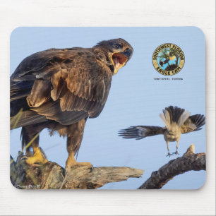 SWFL Eagle Cam Mouse Pad- E22 & Friend Mat