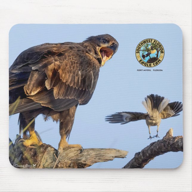 SWFL Eagle Cam Mouse Pad- E22 & Friend Mat (Front)