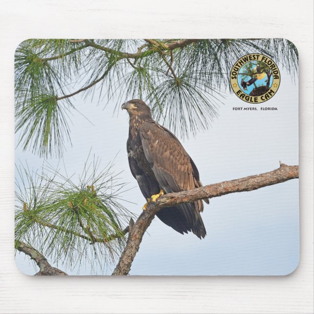 SWFL Eagle Cam Mouse Pad- E23  Mat (Front)