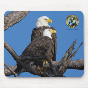 SWFL Eagle Cam Mouse Pad- M15 & F23 Mat