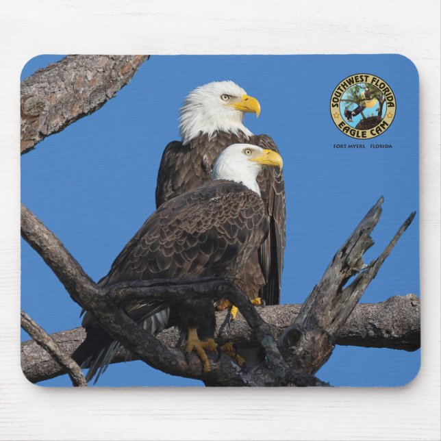 SWFL Eagle Cam Mouse Pad- M15 & F23 Mat (Front)