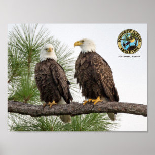 SWFL Eagle Cam Wall Poster