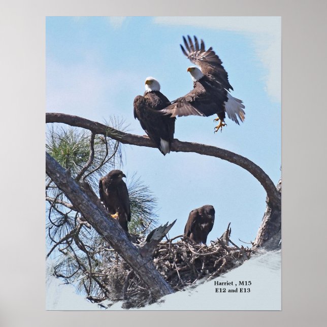 SWFL Family Portrait E12, E13 Harriet and M15 Poster (Front)