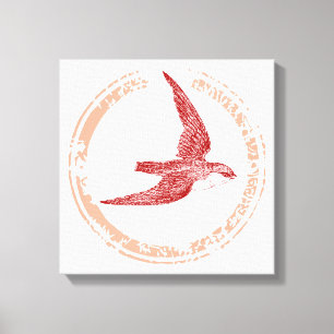 Swift bird canvas print