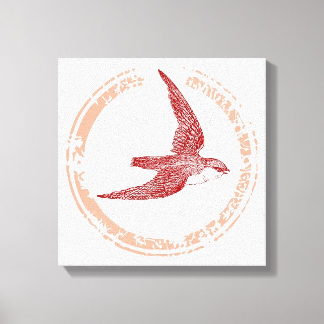Swift bird canvas print (Front)